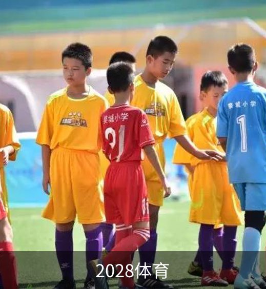 2028体育介绍